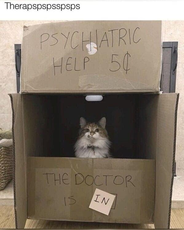 Therapspspsspsps PSYCHIATRIC HELP 5C