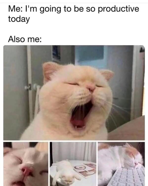Me: I'm going to be so productive today Also me: