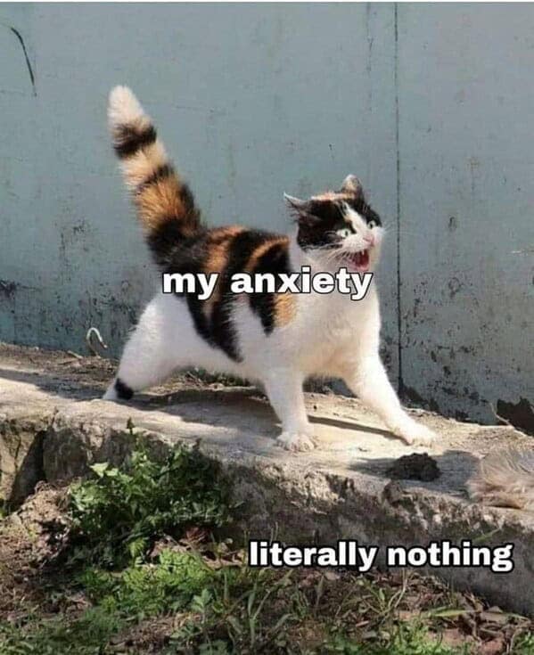 my anxiety literally nothing