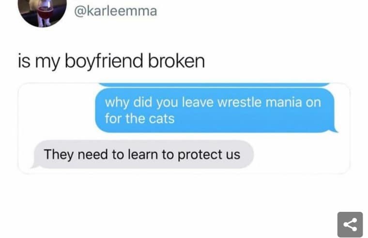@karleemma is my boyfriend broken why did you leave wrestle mania on for the cats They need to learn to protect us