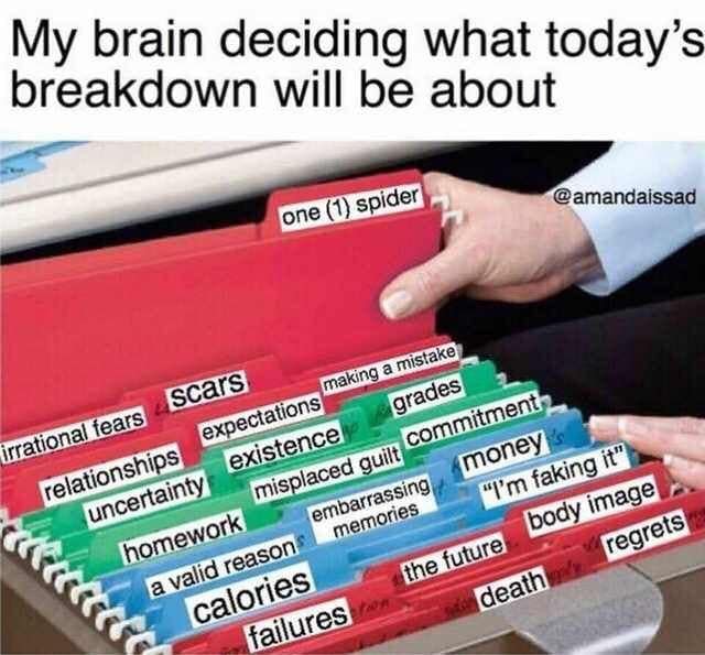My brain deciding what today's breakdown will be about one (1) spider @amandaissad irrational fears scars relationships expectations making a mistake uncertainty: existence grades misplaced guilt commitment homework embarrassing money s a valid reason memories "I'm faking it" calories the future body image failures death regrets
