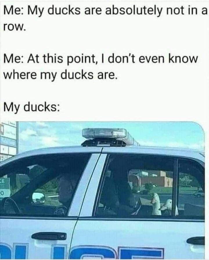 classic memes, vintage memes, viral tweets, viral memes, best memes, trending tweets, funny internet memes, old memes