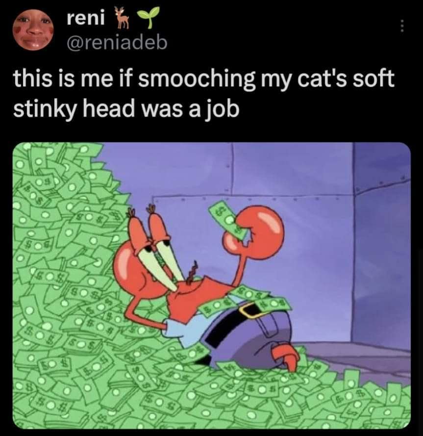 classic memes, vintage memes, viral tweets, funny internet content, Hilarious social media posts, Timeless memes, old memes