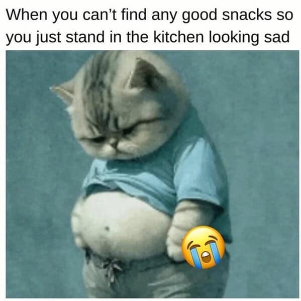 When you can't find any good snacks so you just stand in the kitchen looking sad