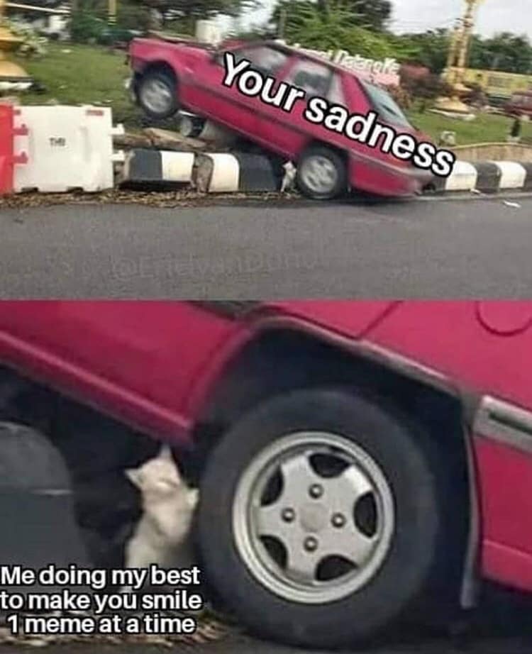 classic memes, vintage memes, viral tweets, nternet trends, meme culture, social media humor, trending content, subreddits, meme accounts