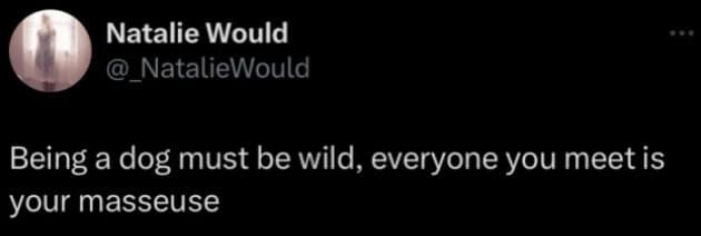 classic memes, vintage memes, viral tweets, Epic Tweets, Legendary Tweets, Funny Throwbacks, Hilarious Nostalgia, Amusing Internet History, Timeless Online Humor, Classic Internet Jokes, Iconic Meme References, old memes, best memes