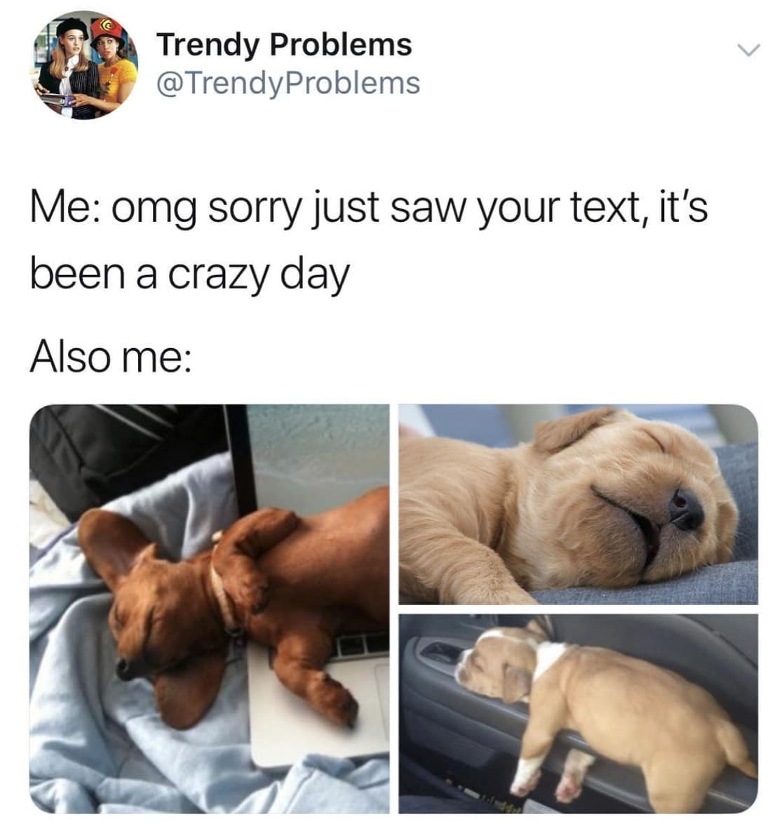 classic memes, vintage memes, viral tweets, early internet memes, iconic memes, throwback memes, old-school memes, legendary memes, retro memes, best memes, old memes