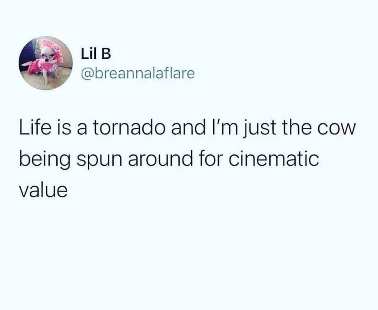 Lil B @breannalaflare Life is a tornado and I'm just the cow being spun around for cinematic value