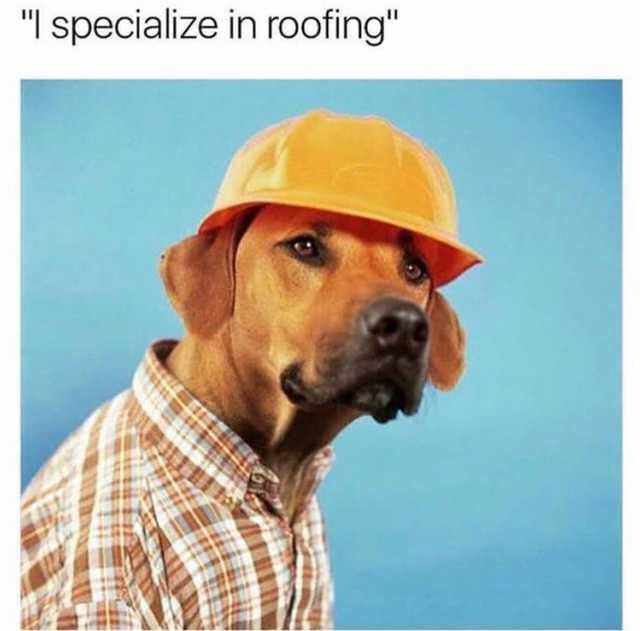 classic memes, vintage memes, viral tweets, old comedic relics, net vintage humor, everlasting meme references, old memes, best memes, micro-post comedic lines, widely shared comedic text, trending tweet wits, popular memes, mainstream net amusements, widely recognized comedic pictures, high-traffic humor bits, timeless memes, permanently relevant comedic illusions, indefinite net comedic staples, never-aging net jokes