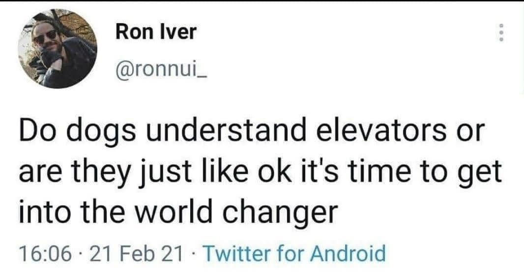 classic memes, vintage memes, viral tweets, early internet memes, iconic memes, throwback memes, old-school memes, legendary memes, retro memes, best memes, old memes