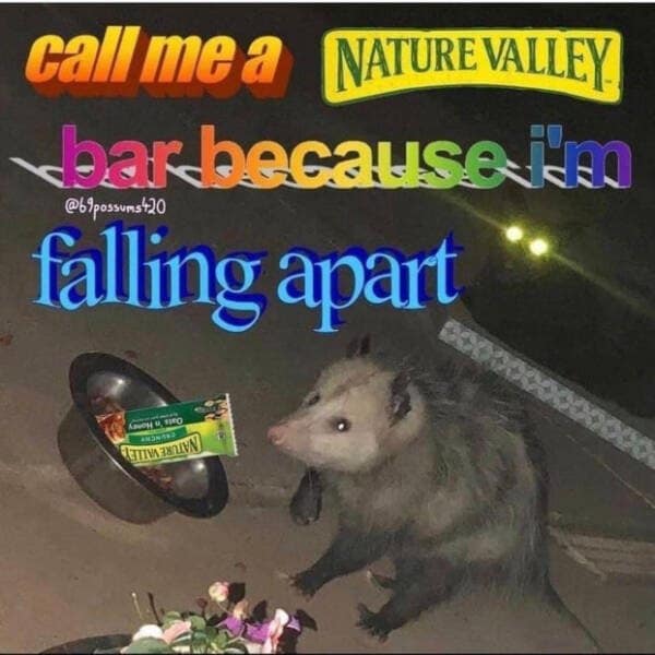 cal mea NATURE VALLEY bar because im @69 possums 20 falling apart 00000