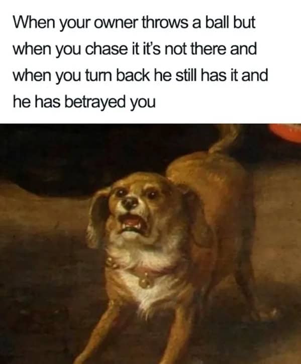 classical art memes, old painting jokes, art museum humor, renaissance comedic bits, renaissance memes, renaissance painting, centuries-old canvas wonders, refined brushstroke creations, grand period visuals, museum memes, exhibit comedic references, curated gallery funnies, exhibit-based laughs, art memes, old art humor, historical comedic illusions, archaic masterpiece jokes, vintage painting wit