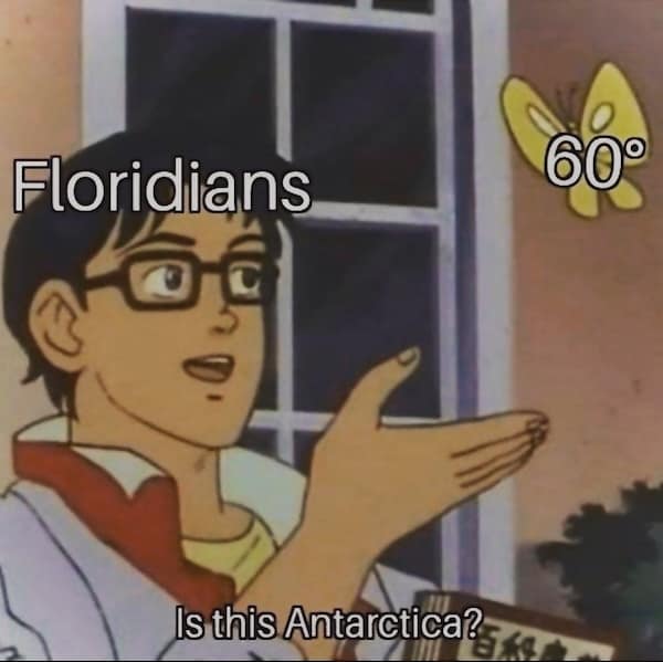 Floridians Is this Antarctica?