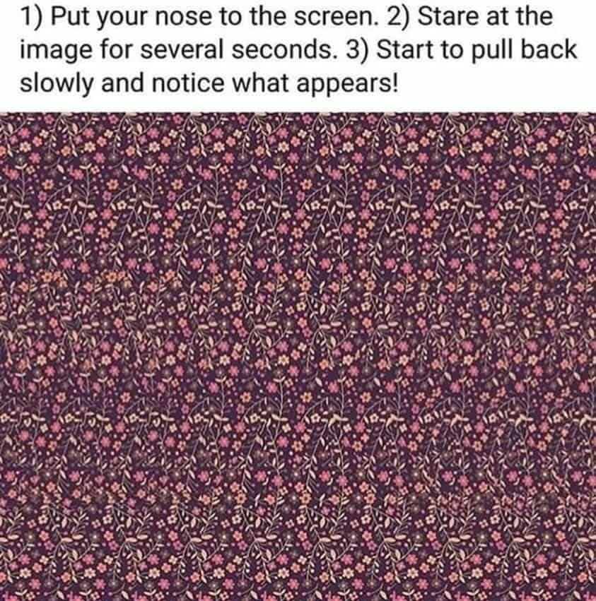 cool optical illusions, optical illusions, clever illusions, engaging illusions, eye-tricking illusions, mind bending illusions, reality-twisting visuals, confusion-inducing pictures, perplexing illusions, deceptive imagery, cunning art illusions, vantage-based illusions, optical puzzle, visual riddle, perception test, brain-teasing pattern