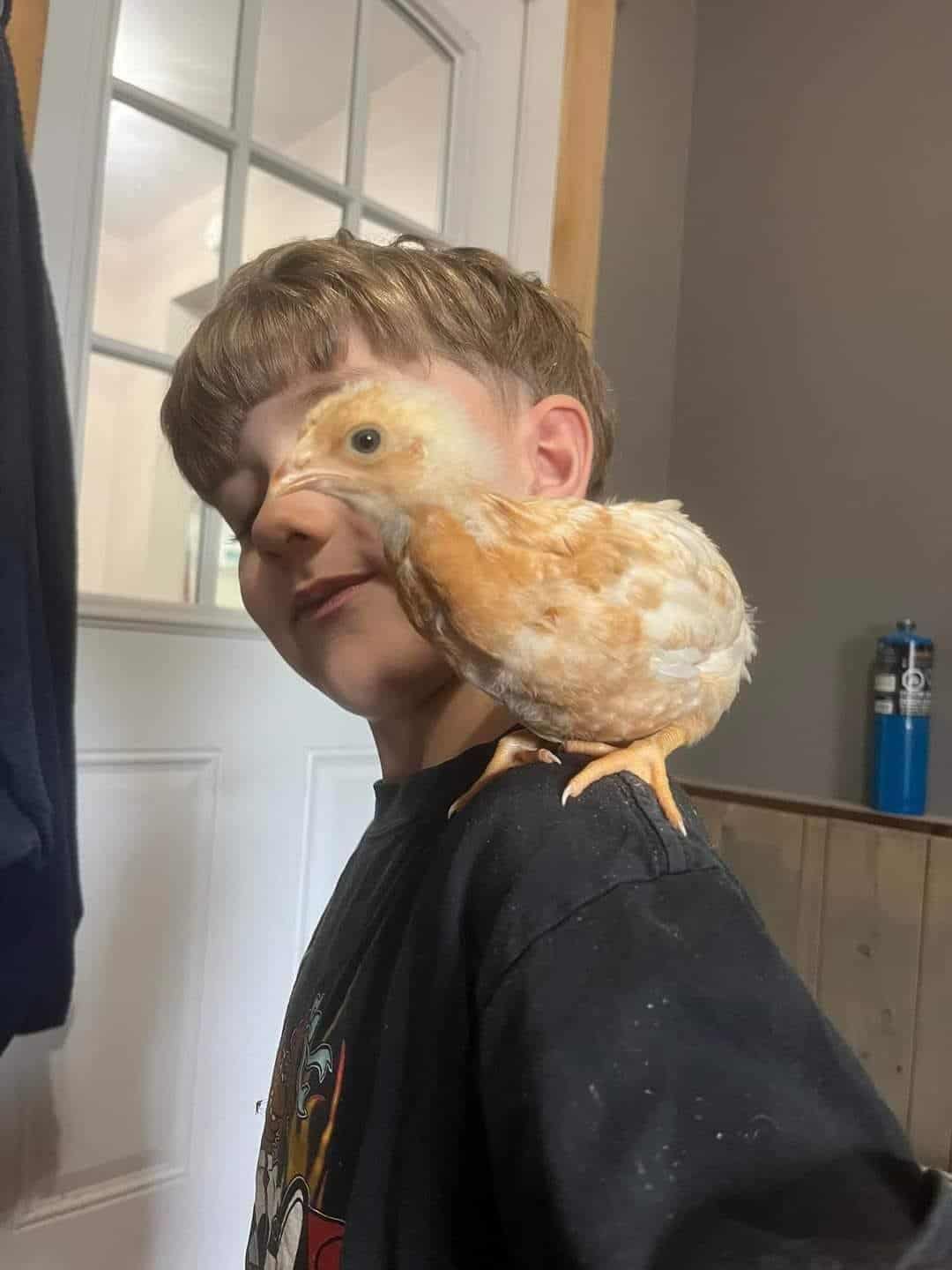 cool optical illusions, optical illusions, clever illusions, engaging illusions, eye-tricking illusions, mind bending illusions, reality-twisting visuals, confusion-inducing pictures, perplexing illusions, deceptive imagery, cunning art illusions, vantage-based illusions, optical puzzle, visual riddle, perception test, brain-teasing pattern