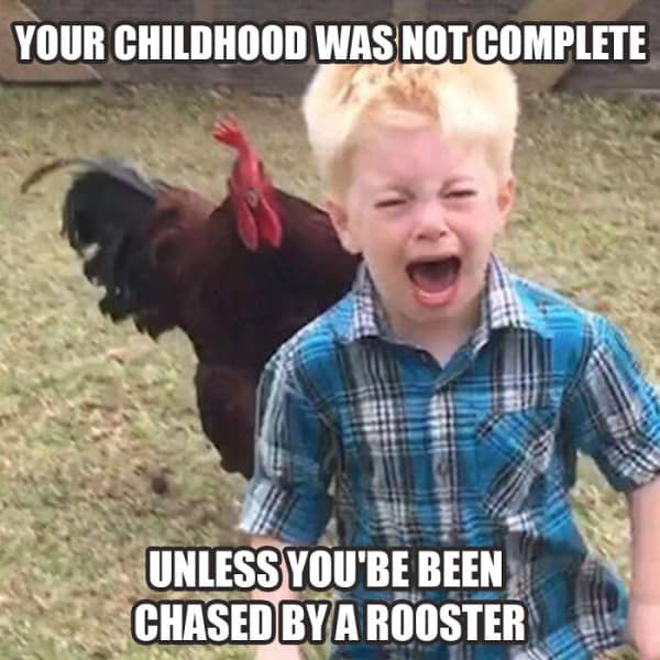 country memes, rural memes, farm memes, rural comedic jokes, countryside humor, rural humor, backroad comedic bits, farmland joke references, small-town funnies, southern jokes, deep south comedic asides, southern-living laughter, Dixie laughs