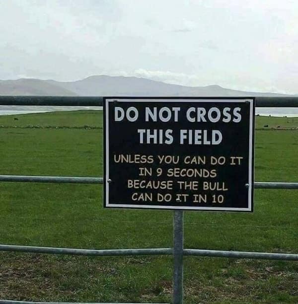 country memes, rural memes, farm memes, rural comedic jokes, countryside humor, rural humor, backroad comedic bits, farmland joke references, small-town funnies, southern jokes, deep south comedic asides, southern-living laughter, Dixie laughs