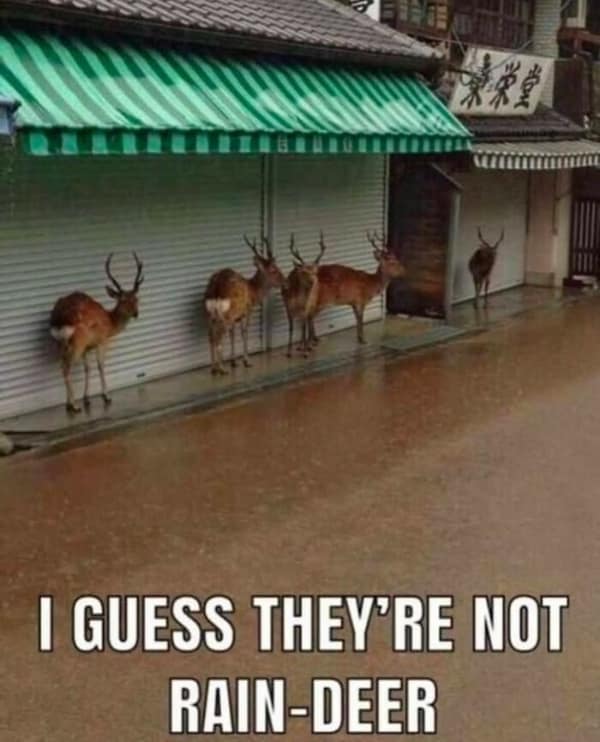 country memes, rural memes, farm memes, rural comedic jokes, countryside humor, rural humor, backroad comedic bits, farmland joke references, small-town funnies, southern jokes, deep south comedic asides, southern-living laughter, Dixie laughs