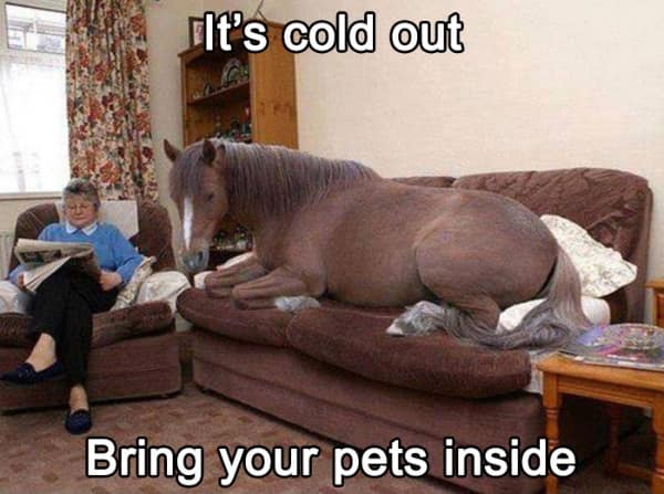 country memes, rural memes, farm memes, rural comedic jokes, countryside humor, rural humor, backroad comedic bits, farmland joke references, small-town funnies, southern jokes, deep south comedic asides, southern-living laughter, Dixie laughs