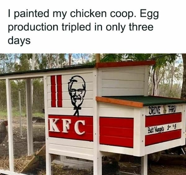 country memes, rural memes, farm memes, rural comedic jokes, countryside humor, rural humor, backroad comedic bits, farmland joke references, small-town funnies, southern jokes, deep south comedic asides, southern-living laughter, Dixie laughs