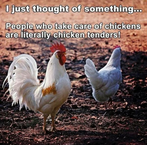 country memes, rural memes, farm memes, rural comedic jokes, countryside humor, rural humor, backroad comedic bits, farmland joke references, small-town funnies, southern jokes, deep south comedic asides, southern-living laughter, Dixie laughs