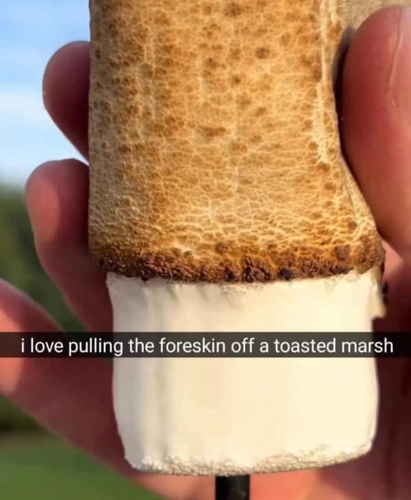 horrifying pics, nightmare visuals, uneasy snapshots, disturbing memes, creepy comedic bits, shocking net humor, troubling comedic images, odd comedic illusions, bizarre net jokes, strange pic funnies, eery captures, spooky snapshots, cringe-worthy images