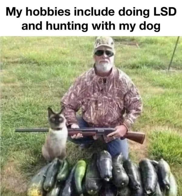 horrifying pics, nightmare visuals, uneasy snapshots, disturbing memes, creepy comedic bits, shocking net humor, troubling comedic images, odd comedic illusions, bizarre net jokes, strange pic funnies, eery captures, spooky snapshots, cringe-worthy images