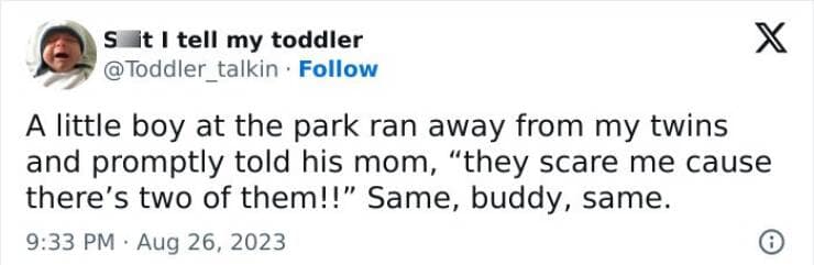 A little boy at the park ran away from my twins and promptly told his mom, "they scare me cause there's two of them!!" Same, buddy, same.