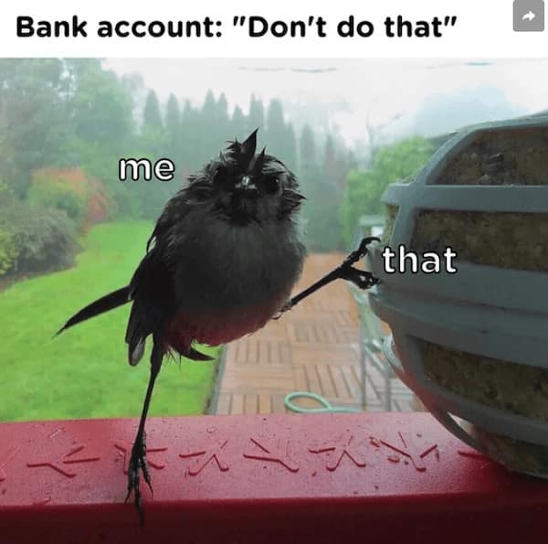 depressing memes, sad comedic memes, bleak humor jokes, sorrow-laced gags, sad memes, unhappy comedic pics, tearful laughs, woe-laden jokes, grim comedic bites, edgy quips, borderline comedic gloom, universal comedic references, shared life tragedies, empathic net jokes