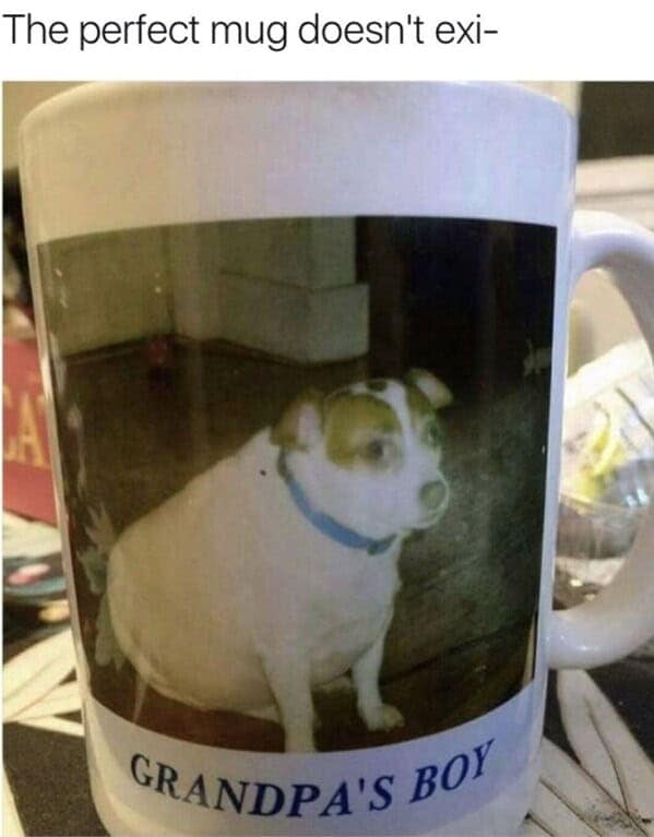 dog memes, pet jokes, canine humor, furry friends, pup memes, doggo humor, tail-wagging jokes