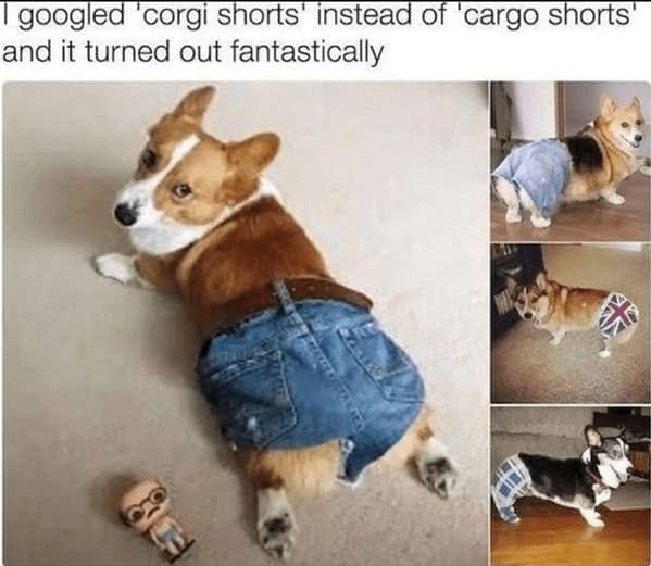 dog memes, pet jokes, canine humor, furry friends, pup memes, doggo humor, tail-wagging jokes