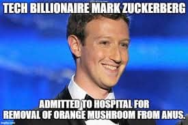 facebook fact checking memes, zuckerberg memes, fb fact checker memes, zuckerberg fact checking memes, fb fact-check memes, social media misinformation jokes, facebook fact-check humor, meta jokes, facebook memes