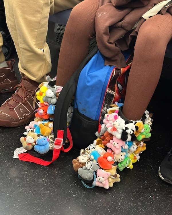 fashion faux pas, style blunders, clothing mistakes, misguided outfit choices, style mistakes, comedic attire slip-ups, misguided fashion illusions, wardrobe errors, closet regrets, appearance goofs, outfit disasters, catastrophic garment combos, design mismatch fiascos