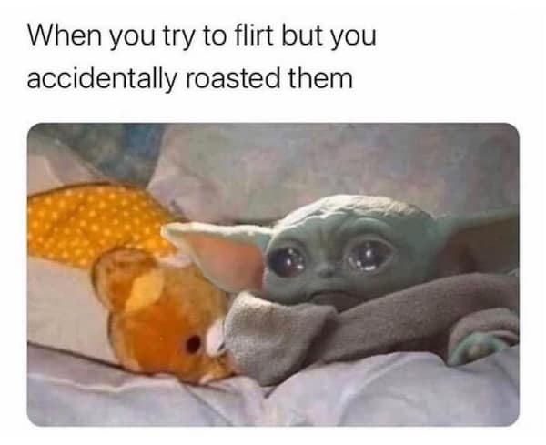 When you try to flirt but you accidentally roasted them