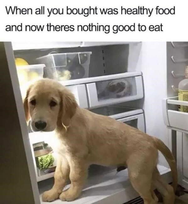 food memes, culinary memes, edible humor, gastronomic jokes, funny food pictures, comedic cuisine images, humor-laden meal snapshots, foodie comedic pics, meal memes, mealtime jokes, dinner comedic bits, breakfast-lunch-dinner funnies, food humor, snack comedic takes, plate-laugh combos, appetite jokes