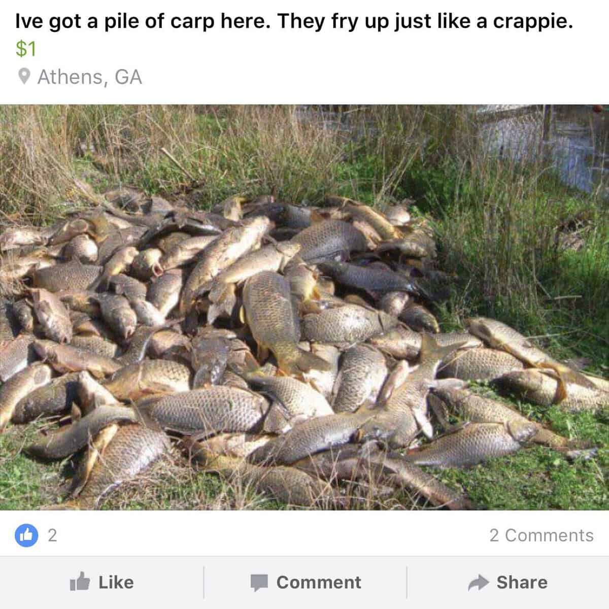 funny ads, funny marketplace listings, comedic listings, bizarre sale posts, outlandish advertisements, facebook marketplace, social platform deals, local online selling, secondhand digital shop, weird listings, unusual postings, strange item offers, confusing product ads, internet sales hype, digital market trades, virtual vendor goods