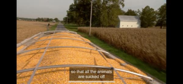 funny closed captions, closed caption fails, comedic subtitle lines, laughable text overlays, mis-labeled captions, subtitle fails, script slip-ups, text-based comedic bungles, tv mishaps, small screen meltdown references, broadcast comedic stumbles, movie mistakes, cinematic slip lines, film sub fiasco jokes