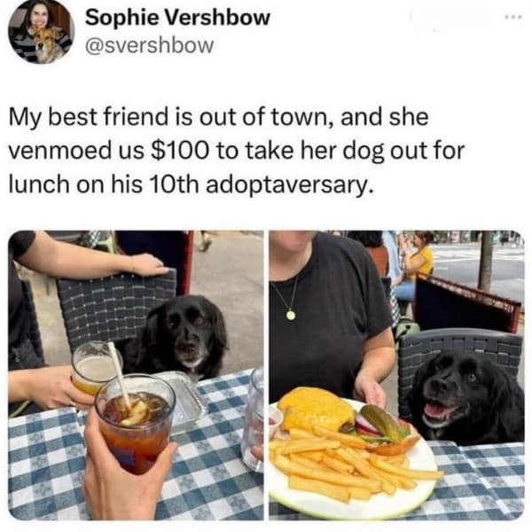 My best friend is out of town, and she venmoed us $100 to take her dog out for lunch on his 10th adoptaversary.