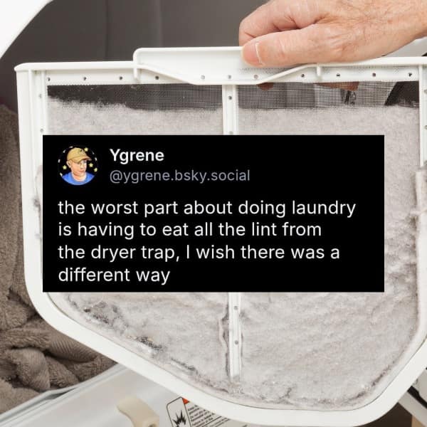 the worst part about doing laundry is having to eat all the lint from the dryer trap, I wish there was a different way
