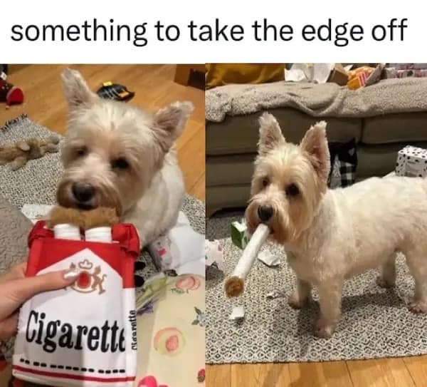 something to take the edge off