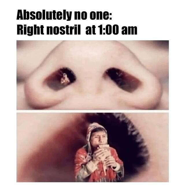 Absolutely no one: Right nostril at 1:00 am