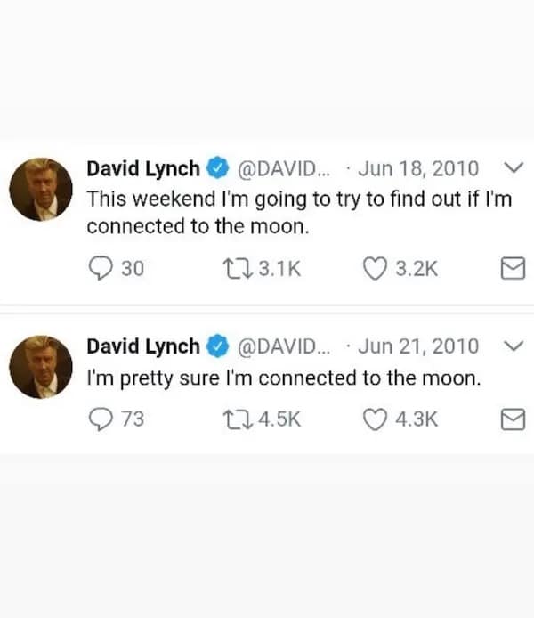 This weekend I'm going to try to find out if I'm connected to the moon.