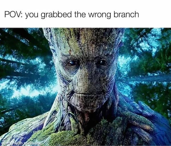 POV: you grabbed the wrong branch