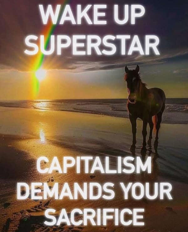 WAKE UP SUPERSTAR CAPITALISM DEMANDS YOUR SACRIFICE