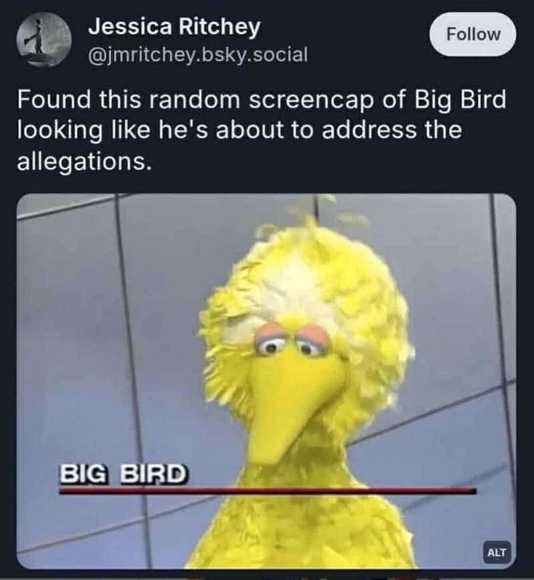 Found this random screencap of Big Bird looking like he's about to address the allegations.