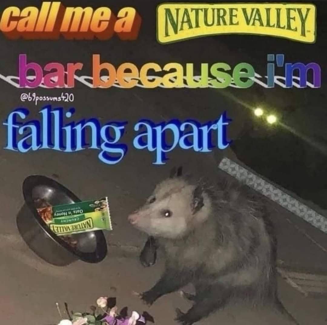 call mea NATURE VALLEY bar because im talling apart