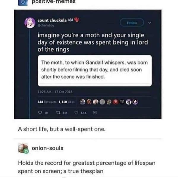 imagine you're a moth and your single day of existence was spent being in lord of the rings The moth, to which Gandalf whispers, was born shortly before filming that day, and died soon after the scene was finished.