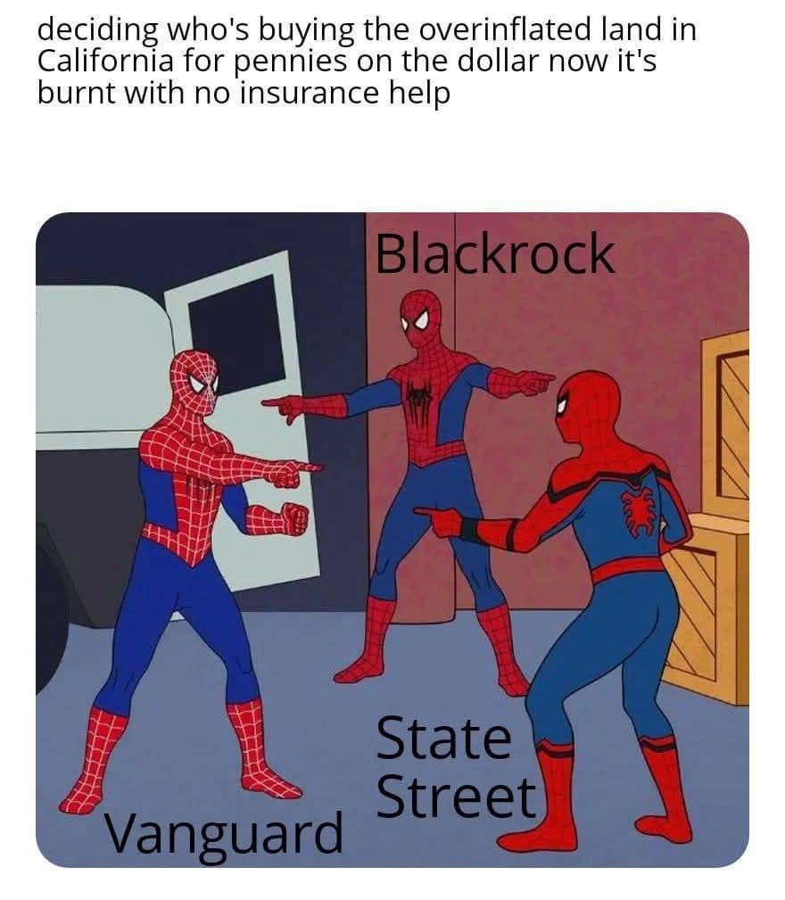 deciding who's buying the overinflated land in California for pennies on the dollar now it's burnt with no insurance help Blackrock State Street Vanguard