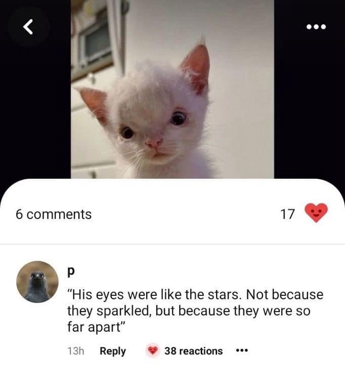 "His eyes were like the stars. Not because they sparkled, but because they were so far apart"