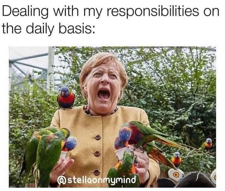 Dealing with my responsibilities on the daily basis: